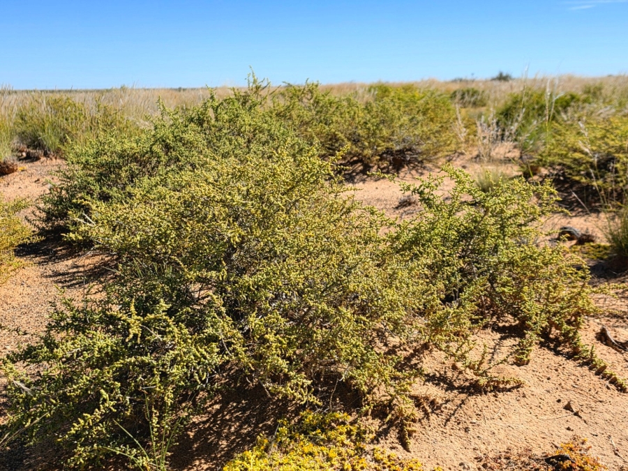 Commercial Property for Sale in Upington Rural Northern Cape
